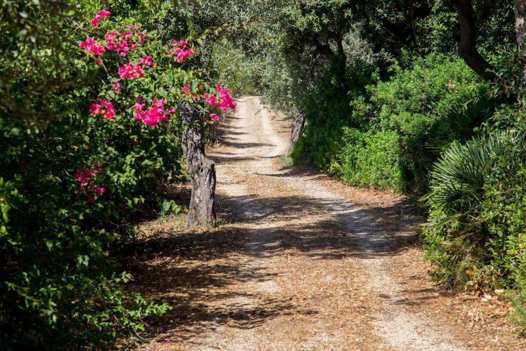 Villa Tramonto Alghero Exterior photo