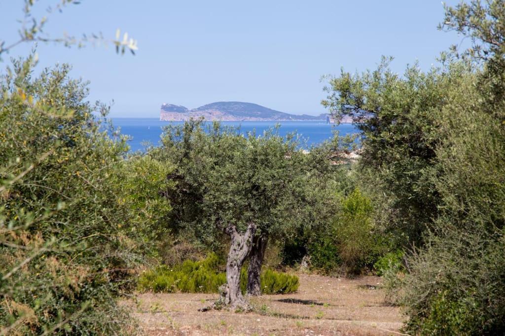 Villa Tramonto Alghero Exterior photo