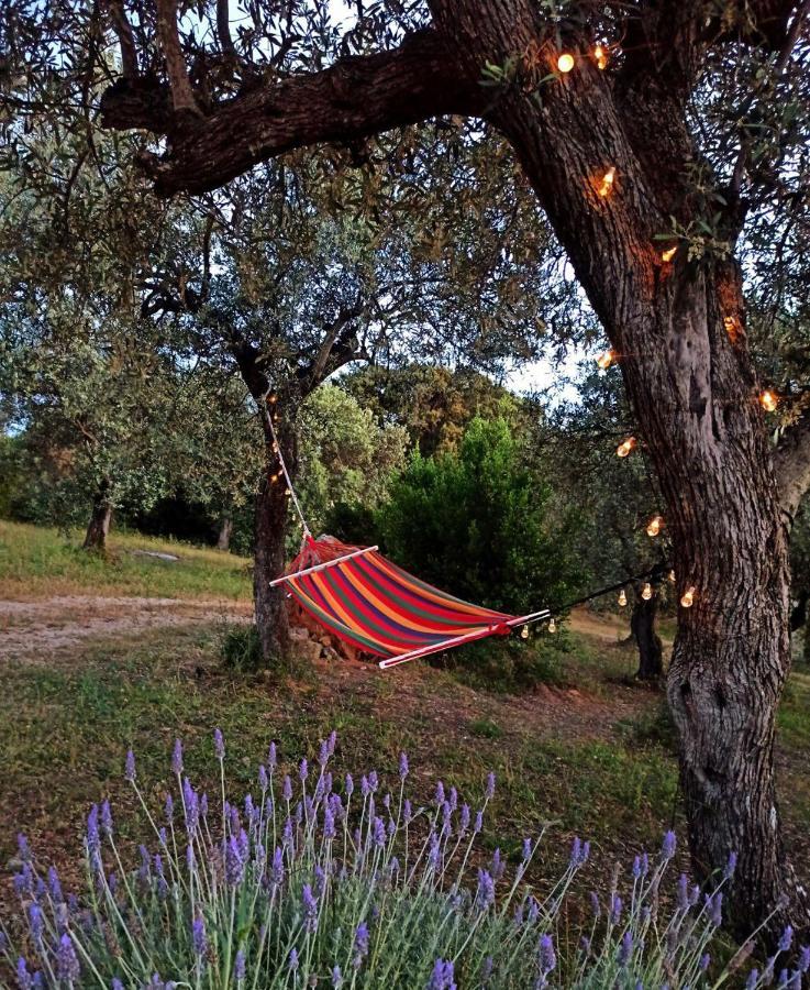 Villa Tramonto Alghero Exterior photo